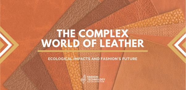 The Complex World of Leather: Ecological Impacts and Fashion's Future